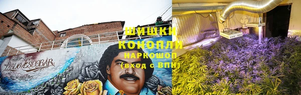 прущая мука Михайлов