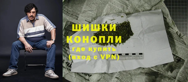 прущие грибы Наволоки