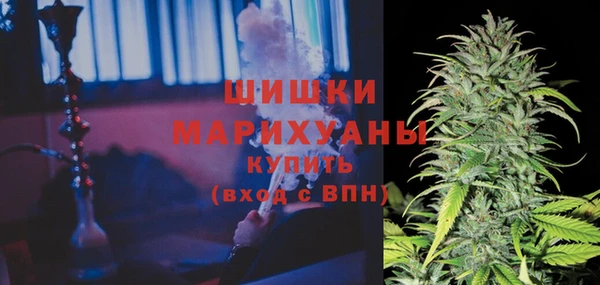 СК Медногорск