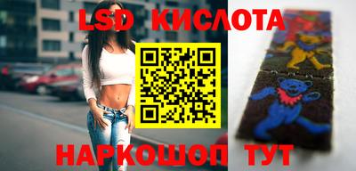 стаф Краснодар