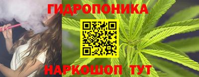 стаф Краснодар