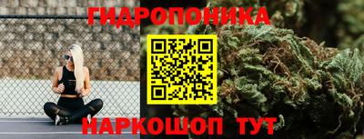 стаф Краснодар