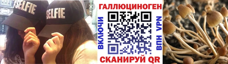 Галлюциногенные грибы Magic Shrooms  сайты даркнета Telegram  Ржев 